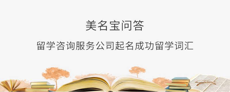 留學咨詢服務公司起名成功留學詞匯