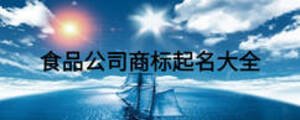 食品公司商標(biāo)起名大全