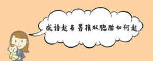 成語(yǔ)起名男孩雙胞胎如何起
