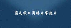 霸氣順口商標名字起名