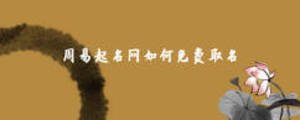 周易起名網(wǎng)如何免費(fèi)取名