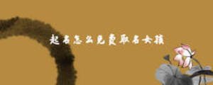 起名怎么免費取名女孩