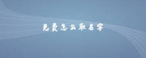 免費(fèi)怎么取名字