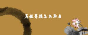 吳姓男孩怎么取名
