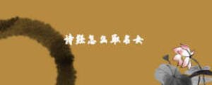 詩(shī)經(jīng)怎么取名女