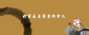 檸字在名字里的含義