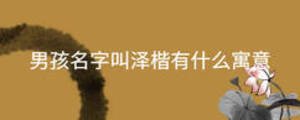 男孩名字叫澤楷有什么寓意