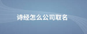 詩經(jīng)怎么公司取名