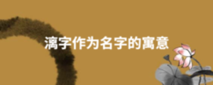 漓字作為名字的寓意