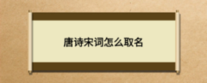 唐詩宋詞怎么取名
