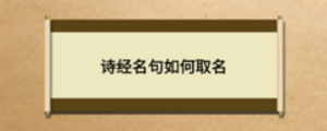 詩經(jīng)名句如何取名