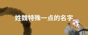 姓魏特殊一點(diǎn)的名字