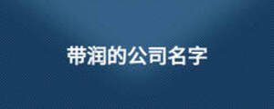 帶潤(rùn)的公司名字