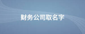 財(cái)務(wù)公司取名字