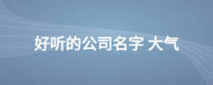 好聽(tīng)的公司名字 大氣