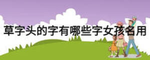 草字頭的字有哪些字女孩名用