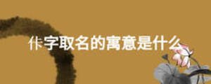 佧字取名的寓意是什么