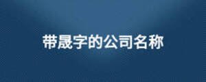 帶晟字的公司名稱