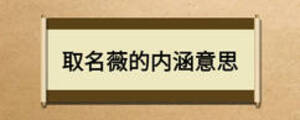 取名薇的內涵意思