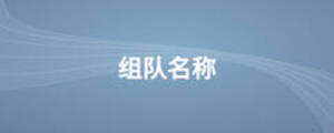 組隊名稱