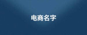電商名字