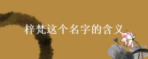 梓梵這個(gè)名字的含義