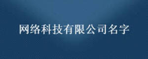 網(wǎng)絡科技有限公司名字