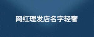 網紅理發店名字輕奢