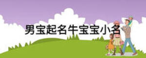 男寶起名牛寶寶小名
