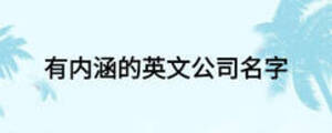 有內涵的英文公司名字