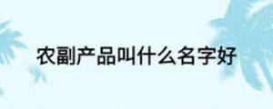 農副產品叫什么名字好