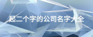 起二個(gè)字的公司名字大全
