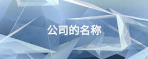 公司的名稱