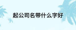 起公司名帶什么字好