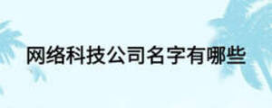 網(wǎng)絡(luò)科技公司名字有哪些