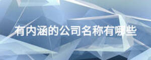 有內(nèi)涵的公司名稱有哪些