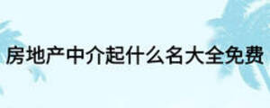 房地產(chǎn)中介起什么名大全免費