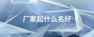 廠家起什么名好