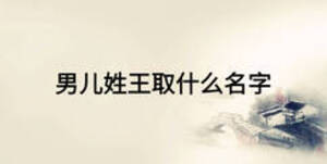 男兒姓王取什么名字