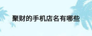 聚財?shù)氖謾C店名有哪些