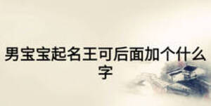 男寶寶起名王可后面加個什么字