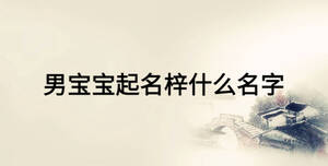男寶寶起名梓什么名字