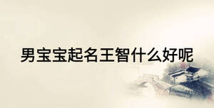 男寶寶起名王智什么好呢