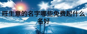 旺生意的名字哪些免費起什么名好