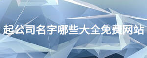 起公司名字哪些大全免費網(wǎng)站