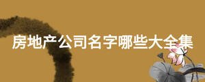房地產(chǎn)公司名字哪些大全集
