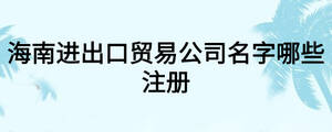 海南進出口貿易公司名字哪些注冊