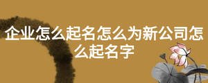 企業怎么起名怎么為新公司怎么起名字
