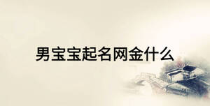 男寶寶起名網(wǎng)金什么
