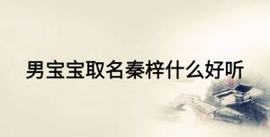 男寶寶取名秦梓什么好聽(tīng)